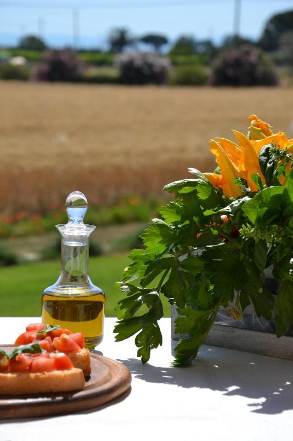 Agriturismo Il Vecchio Mandorlo Castiglione della Pescaia Kültér fotó